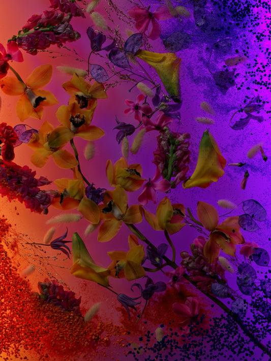 Sekretas: Blooming Beauty V - The Quite Return