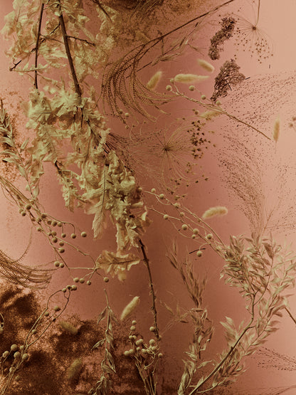 Sekretas: Blooming Beauty VIII - Echo of Autumn, 2022