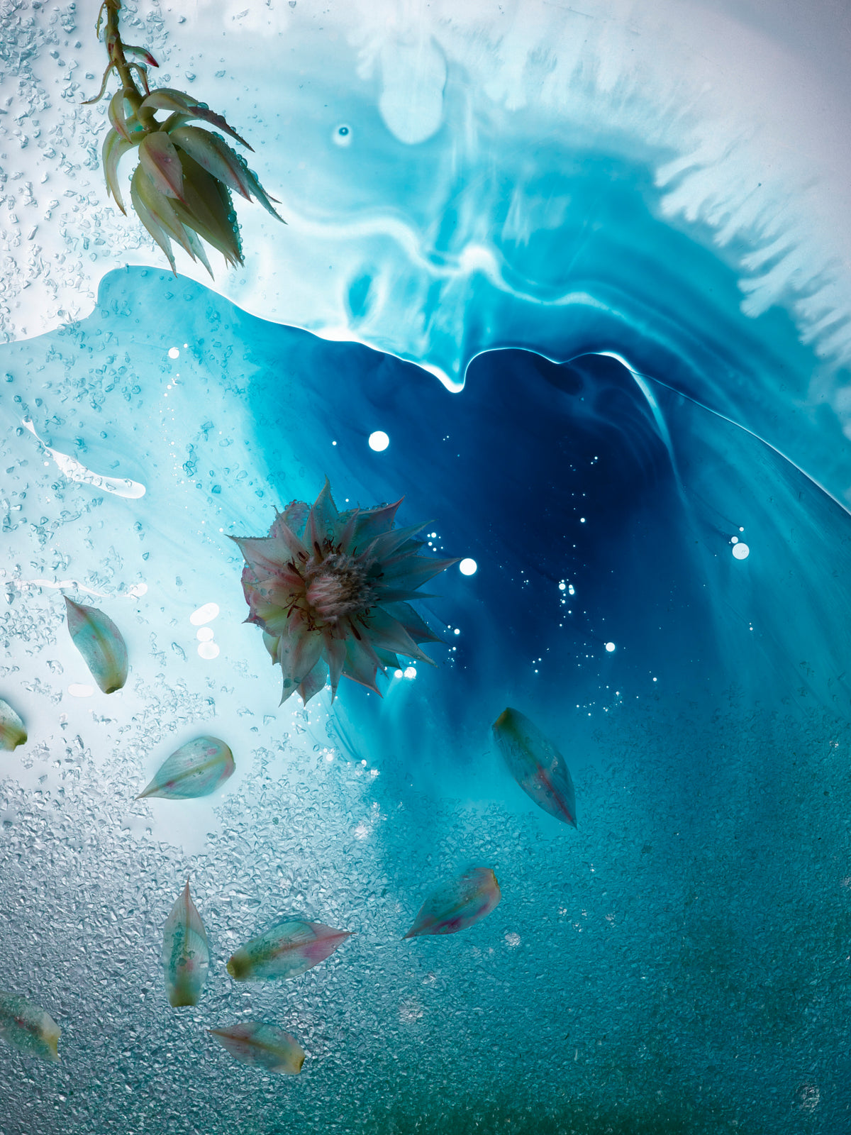 Sekretas: Blooming Beauty XIV- Breathing Ocean, 2023