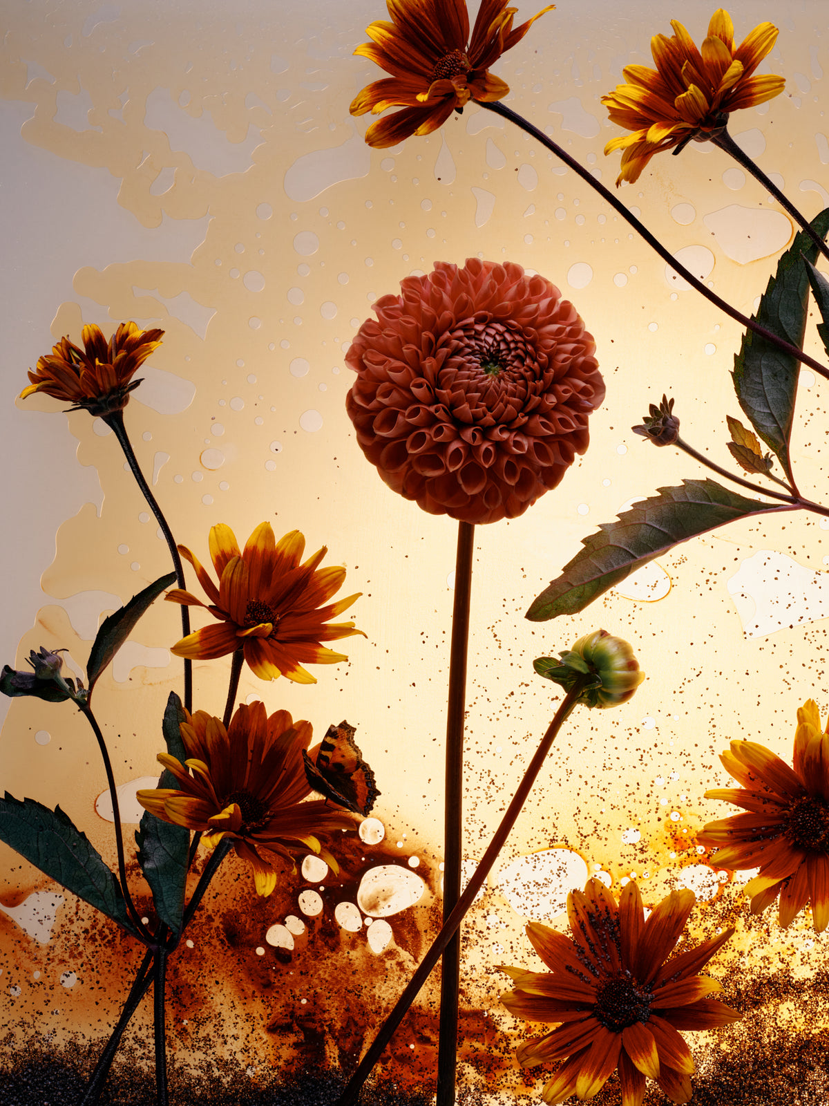 Sekretas: Blooming Beauty - Amber Memory, 2025