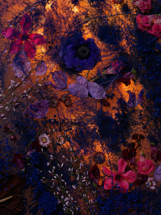 Sekretas: Blooming Beauty IV - Burning Memory, 2022