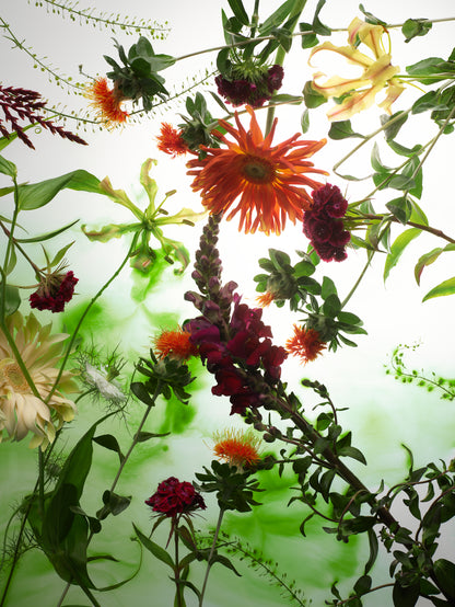 Sekretas: Blooming Beauty XIII - Alchemic Green, 2025