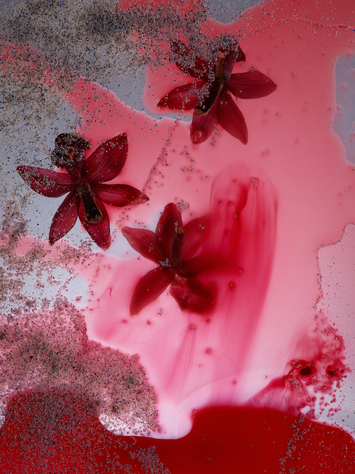 Sekretas: Blooming Beauty II - Beneath the Surface, 2023