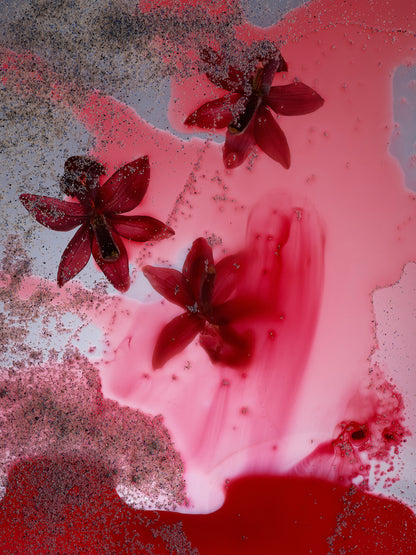 Sekretas: Blooming Beauty II - Beneath the Surface, 2023