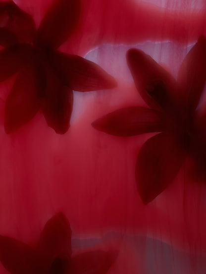 Sekretas: Blooming Beauty III - Bleeding Orchids Resting, 2023